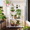Portable Wood Greenhouse with Openable Roof & 3-Tier Shelf, Vertical Cold Frame for Indoor Outdoor Use, 31.5'' L x 22.5'' W x 62'' H, White