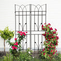 2 Pack Metal Garden Trellis with Rustproof Feature for Outdoor Climbing Plant Support, Easy Assembly, Black