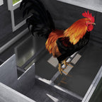 84" Wooden Chicken Coop, Hen House Outdoor with Run Nesting Box, Asphalt Roof, Removable Tray, Ramp, Poultry Cage for 2-3 Chickens, Gray