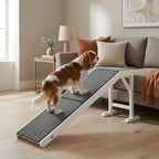 Dog Ramp Foldable with Non-slip Carpet Top Platform, Gray, White