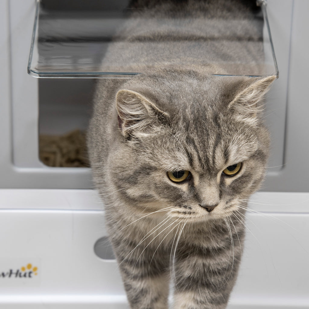 Fully Enclosed Cat Litter Box with Front Entry and Top Exit, Plastic, Gray & White
