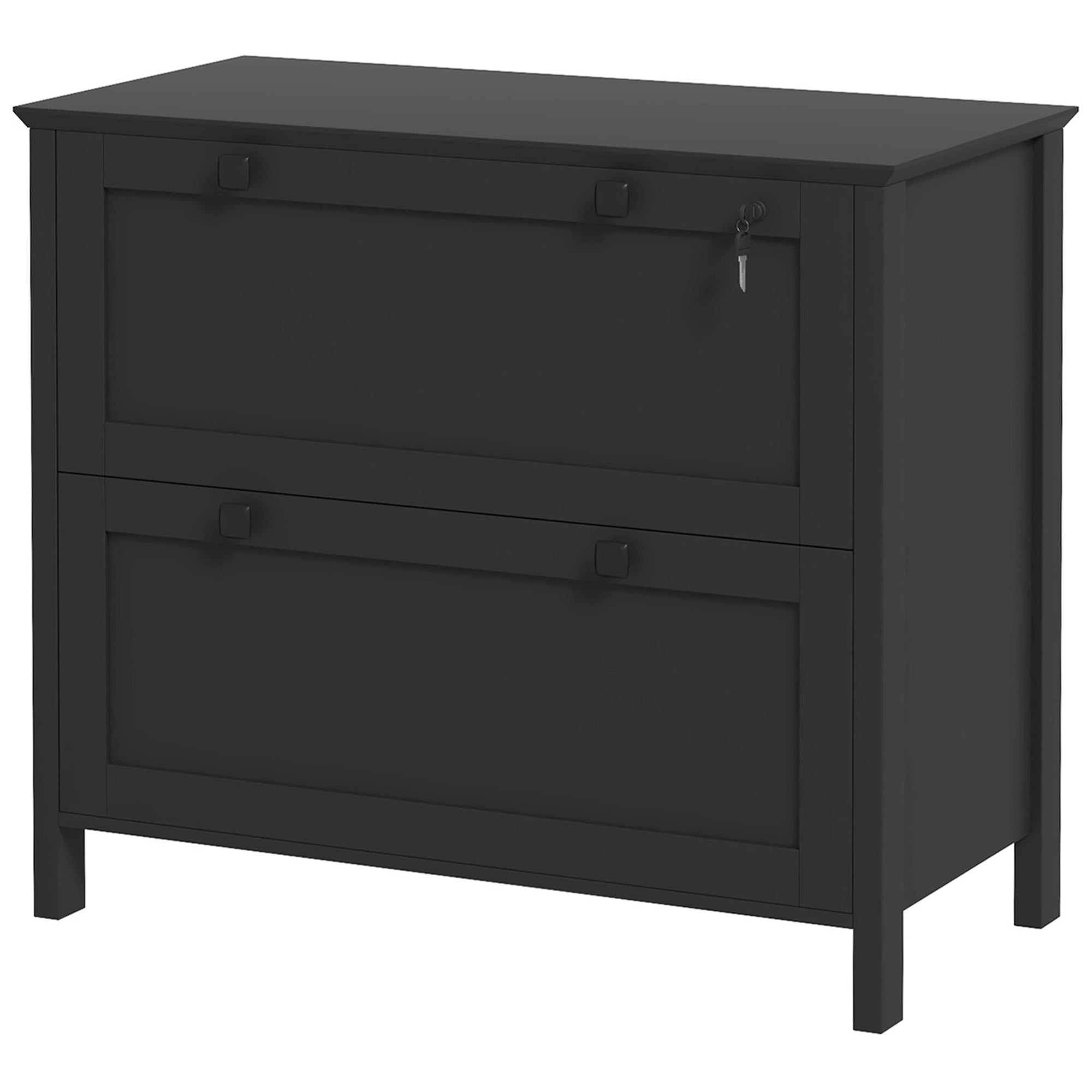 Lateral File Cabinet, 2 Drawer Filing Cabinet with Adjustable Hanging Bar for Letter, A4 and Legal Size, Black