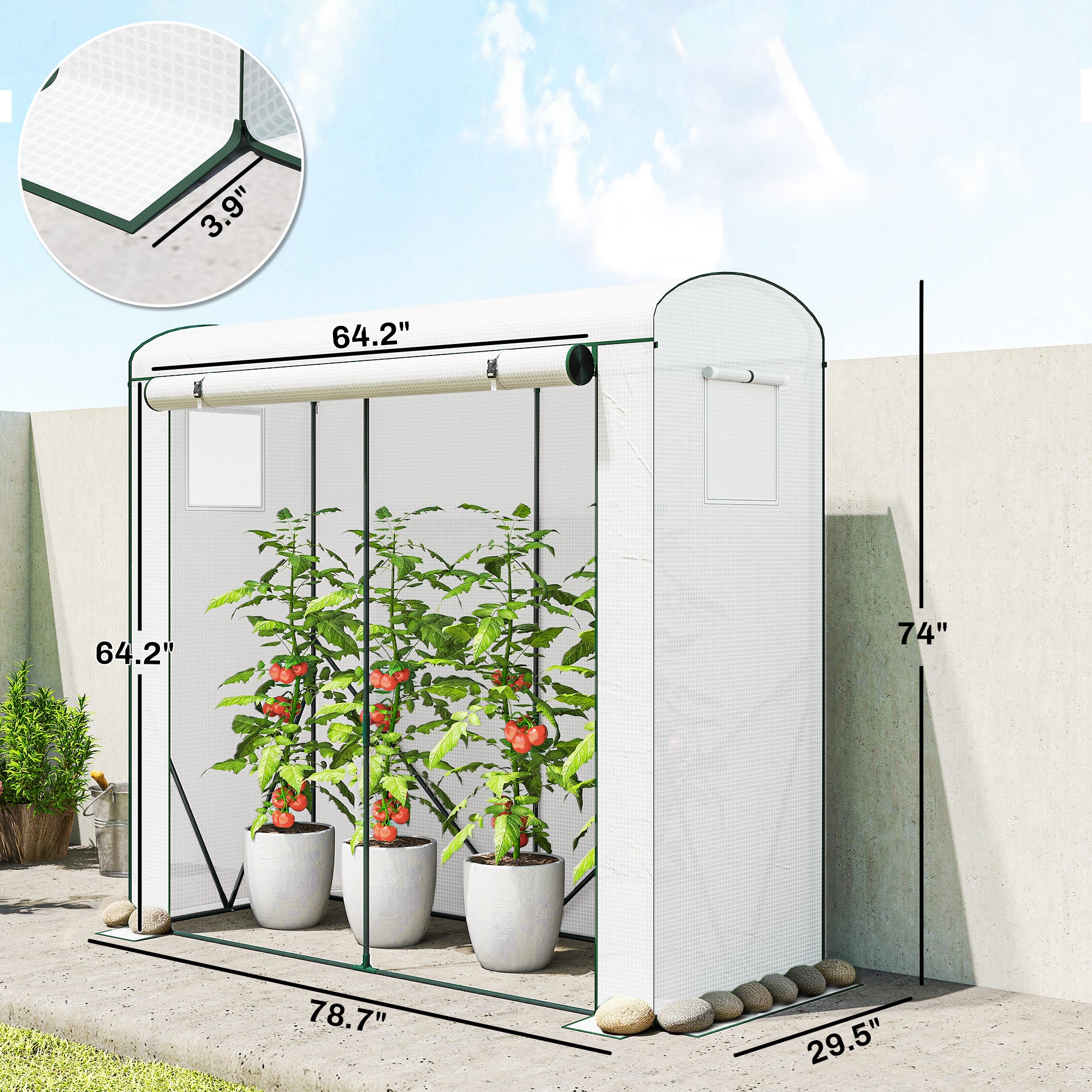 Mini Greenhouse, Portable Greenhouse with Roll-Up Door and 2 Mesh Windows, PE Cover, 78.7" x 29.5" x 74", White