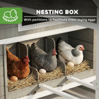137" Wooden Chicken Coop for 4-6 Chickens, Backyard, Dark Gray