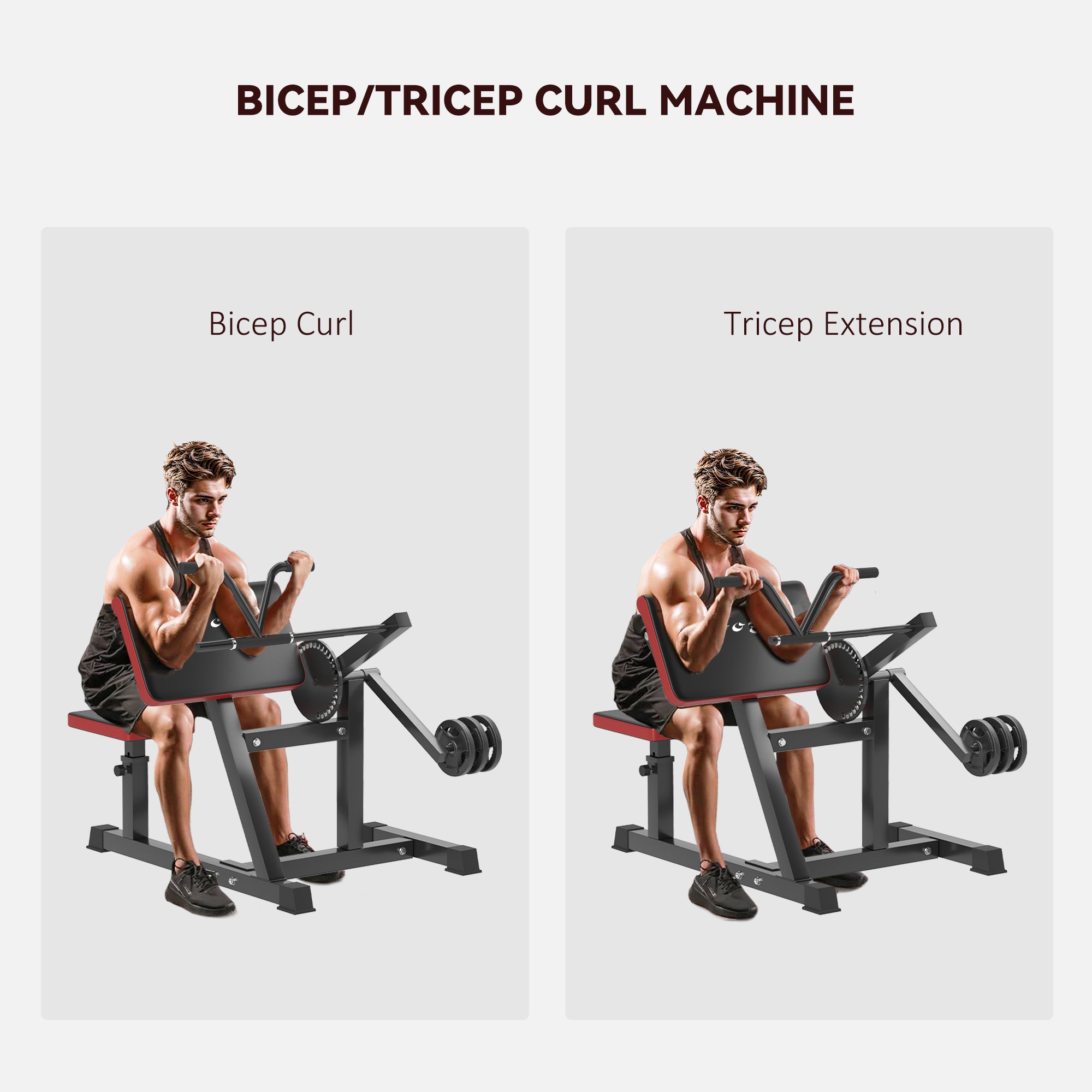 2-In-1 Bicep Preacher Curl Bench Bicep Curl Machine with Adjustable Seat and Elbow Cushion, for Home Gym Workout
