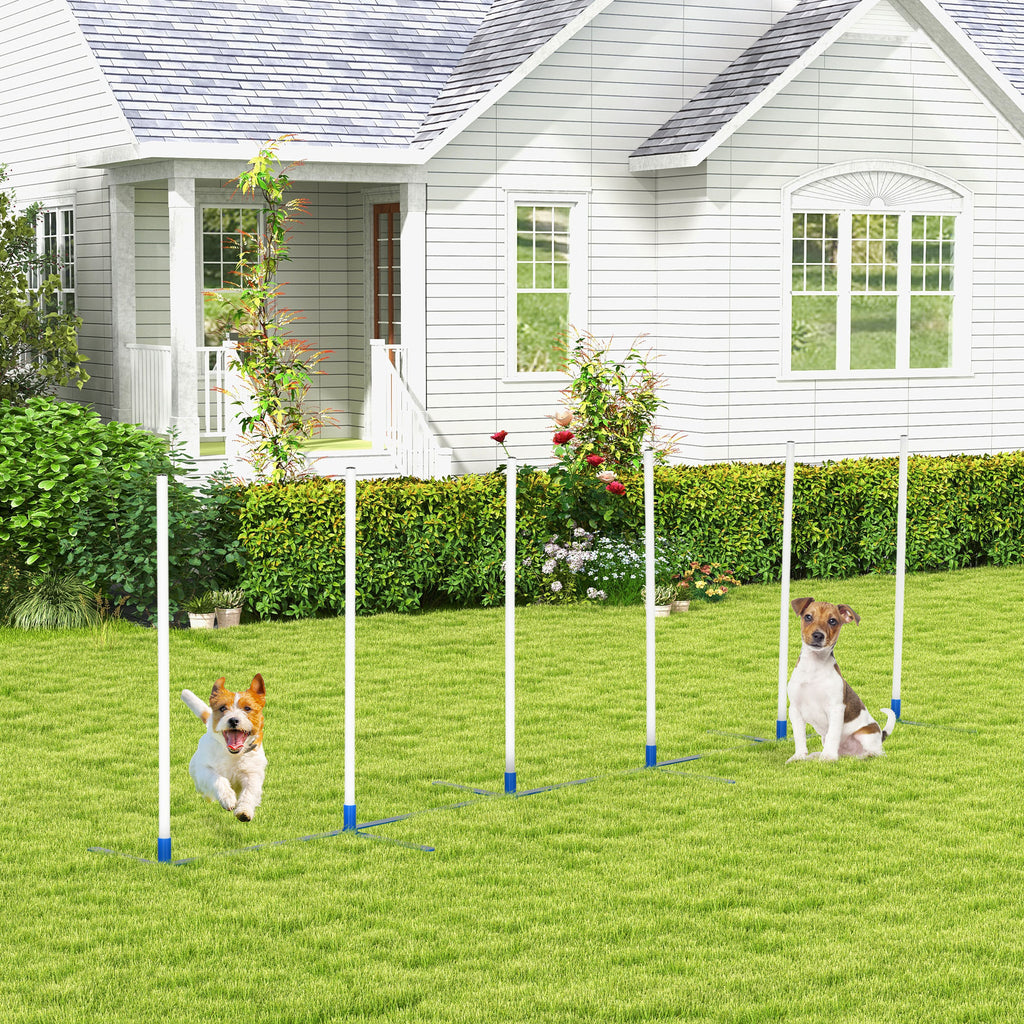Dog Agility Equipment Dog Weave Pole Set Agility Starter Kit Pet Outdoor Exercise Training Set