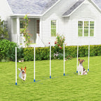Dog Agility Equipment Dog Weave Pole Set Agility Starter Kit Pet Outdoor Exercise Training Set