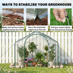 6' x 3' x 5' Portable Walk-in Greenhouse, Plastic Cover, Steel Frame Garden Hot House, Zipper Door, Top Vent for Flowers, Vegetables, Saplings, Tropical Plants, Clear