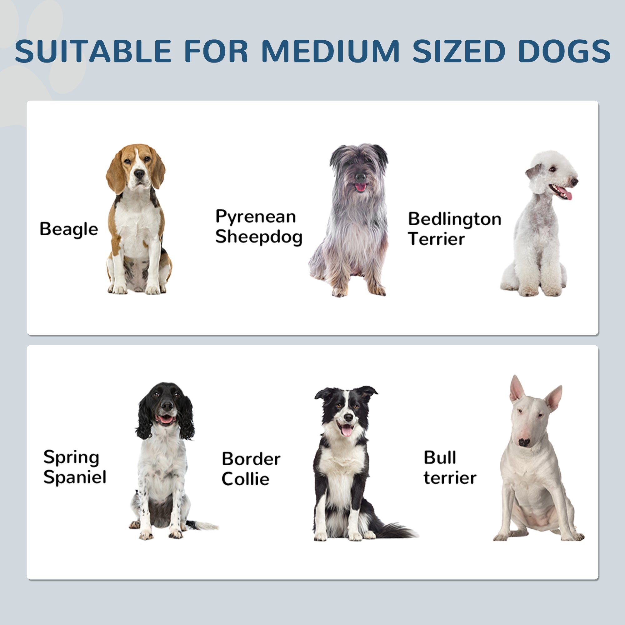 Pet Feeding Station, Dog Food Storage Cabinet w/ Raised Dog Bowls, Adjustable Panel, Hooks for Medium Dogs, White
