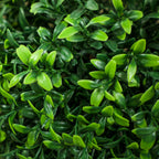 Set of 2 Artificial Ball Boxwood Topiary Trees, Fake Plants in Pot for Indoor Outdoor Living Room Green