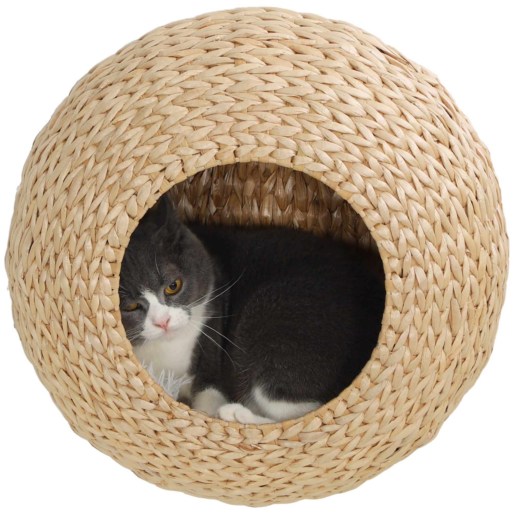 Wall Mounted Cat Condo with Washable Cushion, Natural Wood