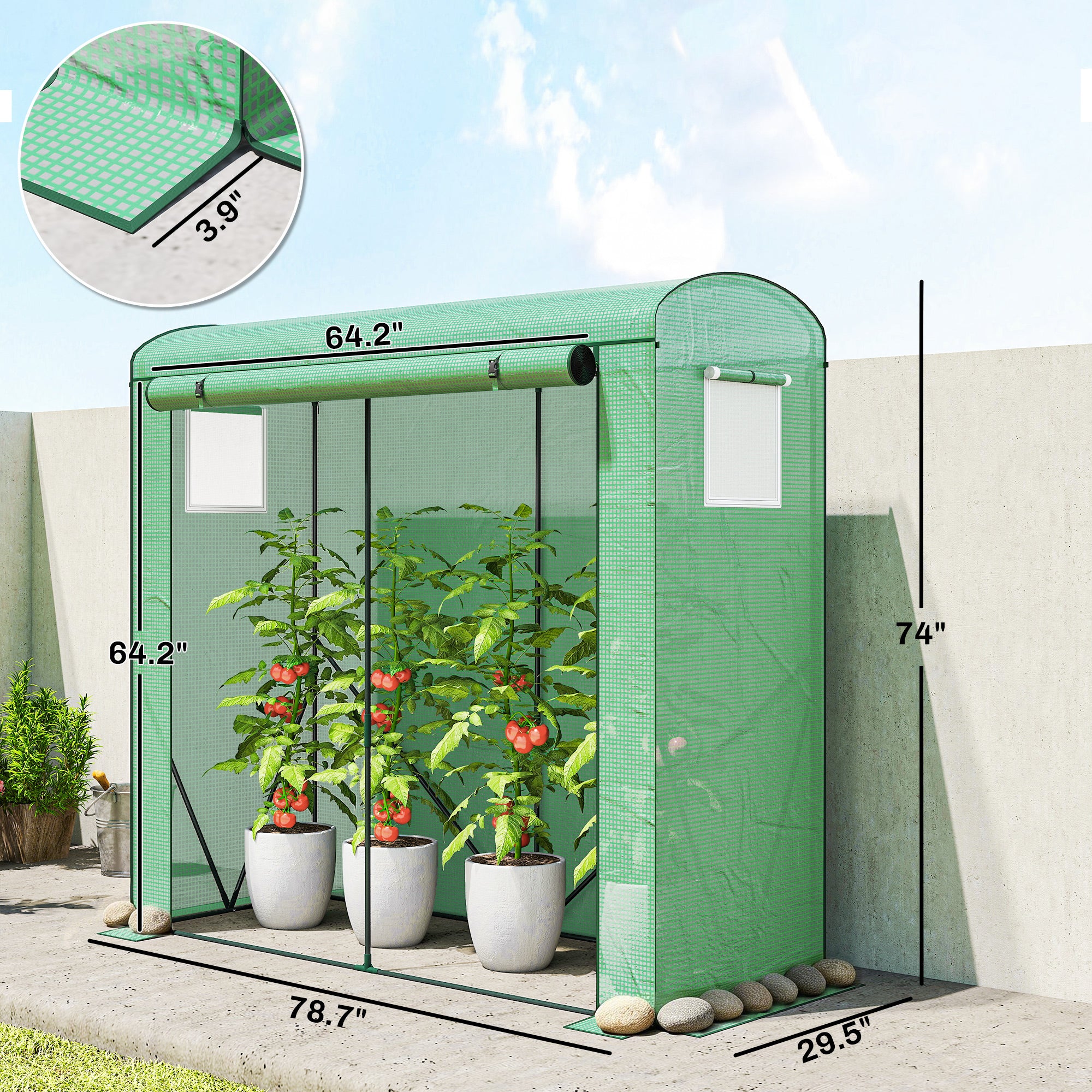 Mini Greenhouse, Portable Greenhouse with Roll-Up Door and 2 Mesh Windows, PE Cover, 78.7" x 29.5" x 74", Green