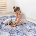 5x8 Washable Kid and Pet Friendly Area Rug, Low-Pile Non-Slip Non-Shedding Rug Blanket, for Living Room, Bedroom, Kitchen, Blue