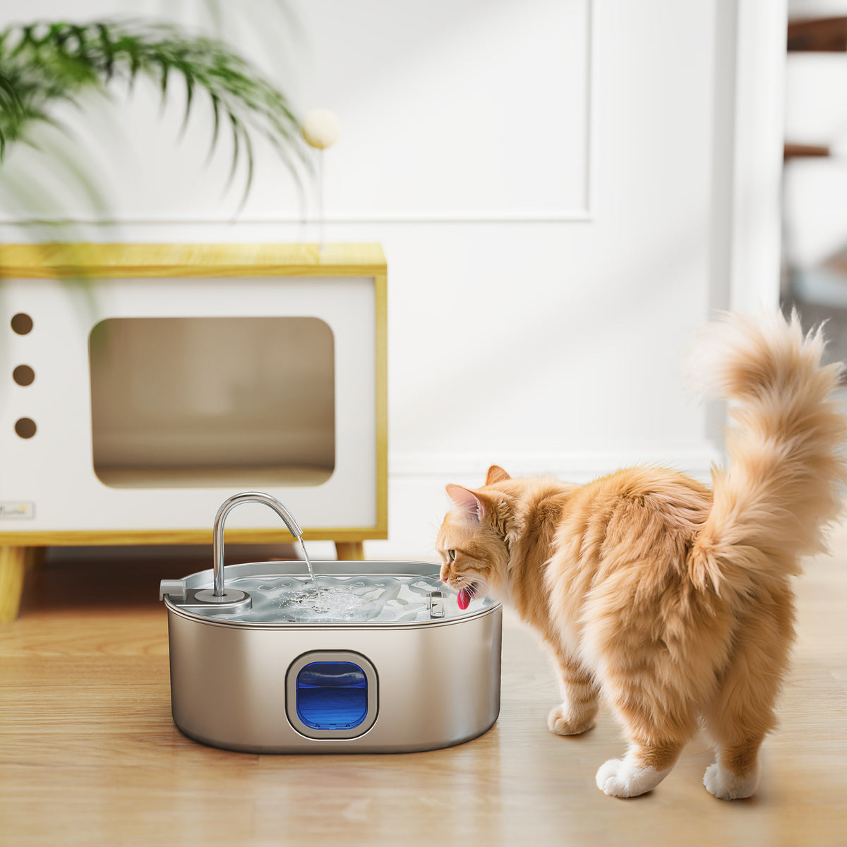 246 oz./7L Stainless Steel Cat Water Fountain with Filters, Ultra-Quiet Pump, for Cats, Dogs & Multi-Pet Homes