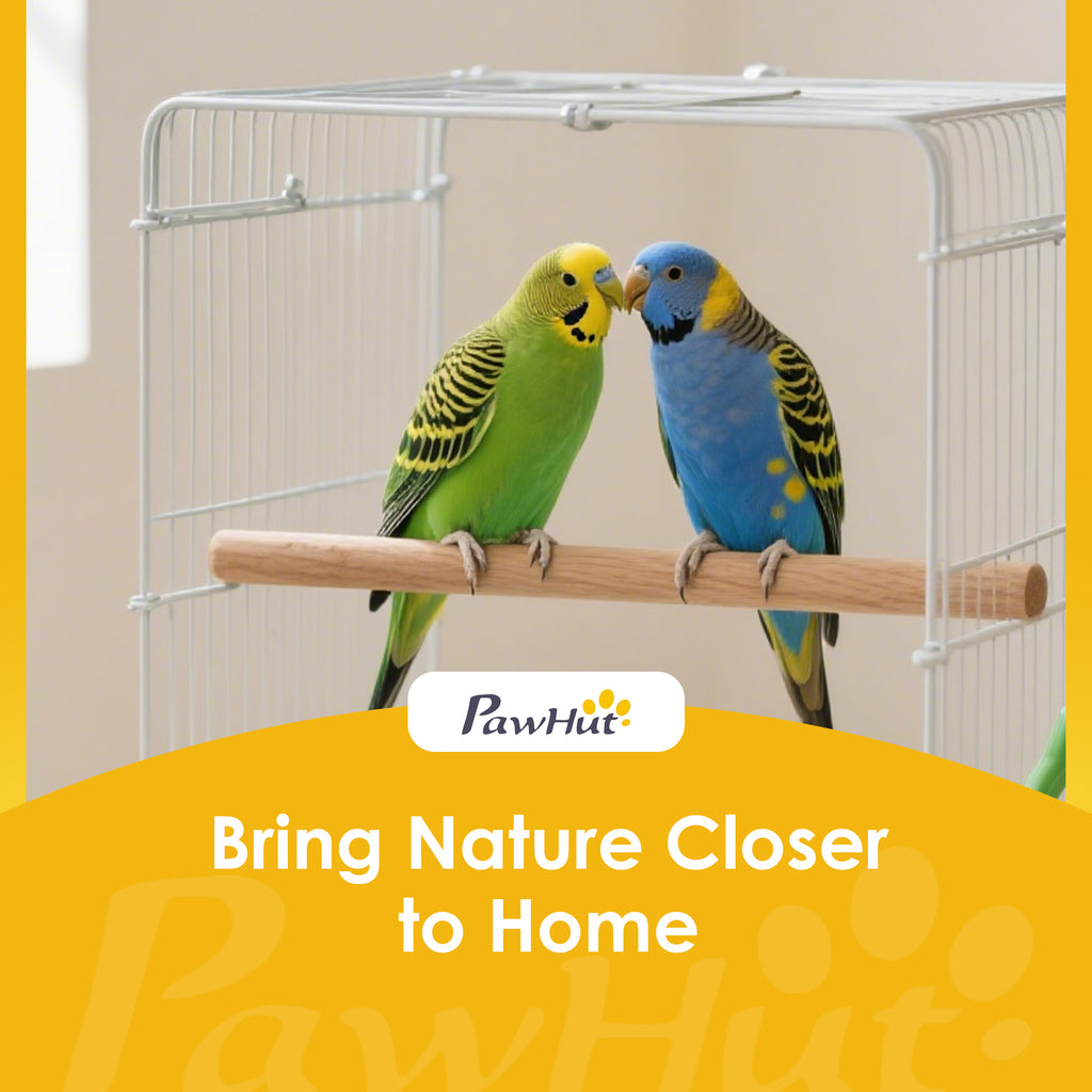 Bird Stand with Wheels Parrot Play Stand with Round Tray Stainless Steel Feed Bowls Indoor Outdoor Dark Gray