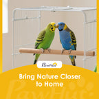 Bird Stand with Wheels Parrot Play Stand with Round Tray Stainless Steel Feed Bowls Indoor Outdoor Dark Gray