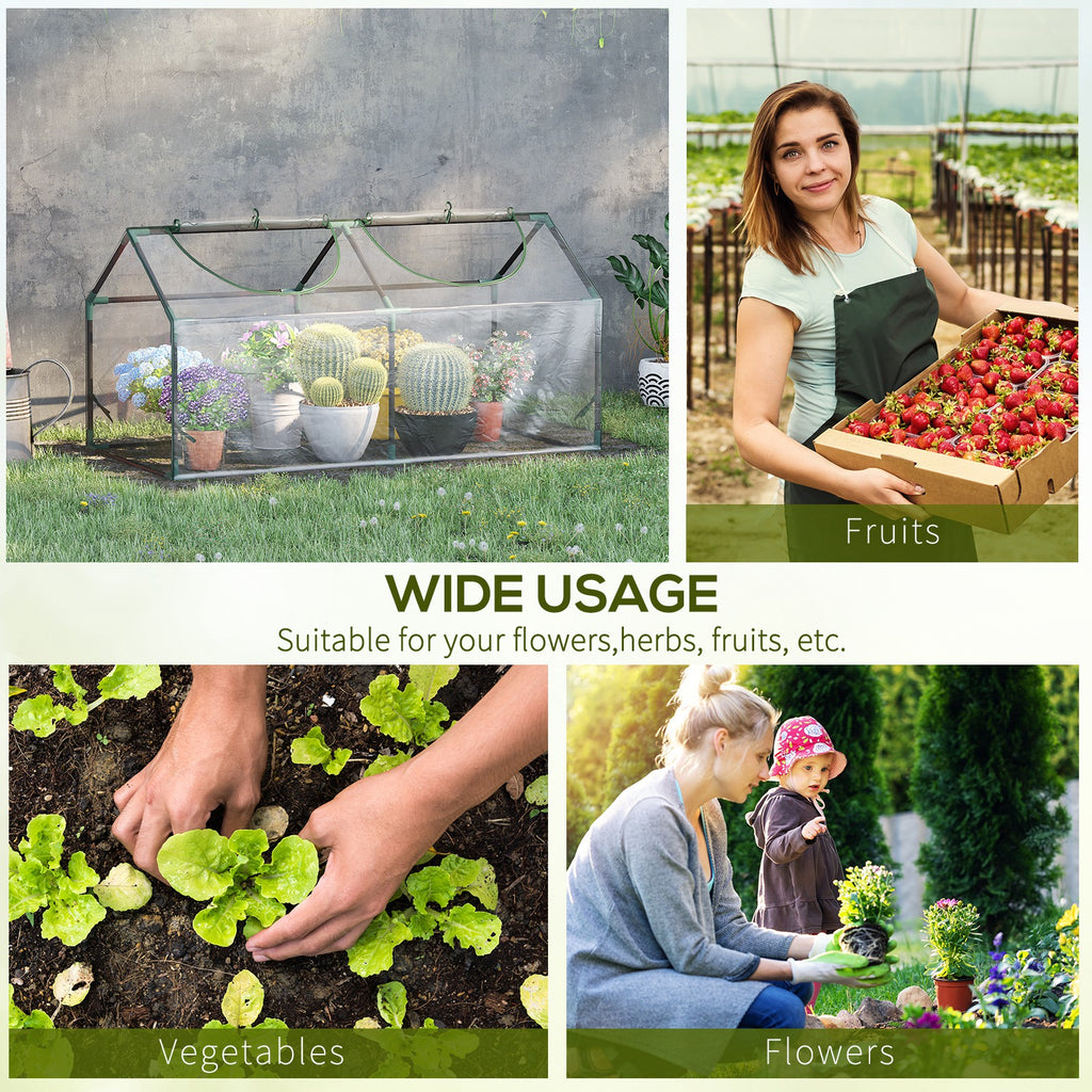 4' x 2' x 2' Portable Mini Greenhouse, Small Green House with PVC Cover, Roll-up Zippered Windows for Indoor, Outdoor Garden, Clear