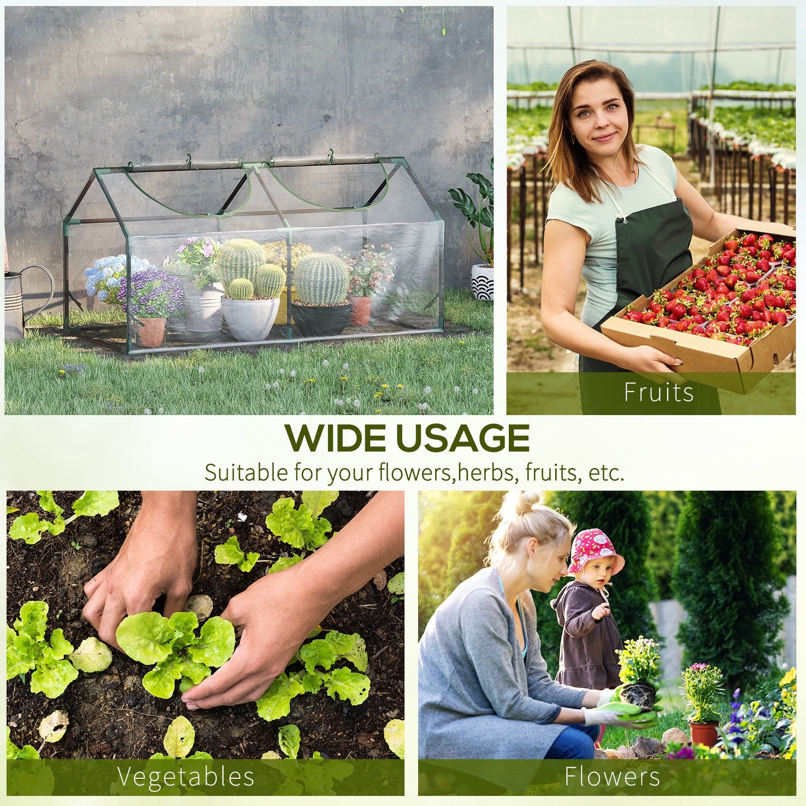 4' x 2' x 2' Portable Mini Greenhouse, Small Green House with PVC Cover, Roll-up Zippered Windows for Indoor, Outdoor Garden, Clear