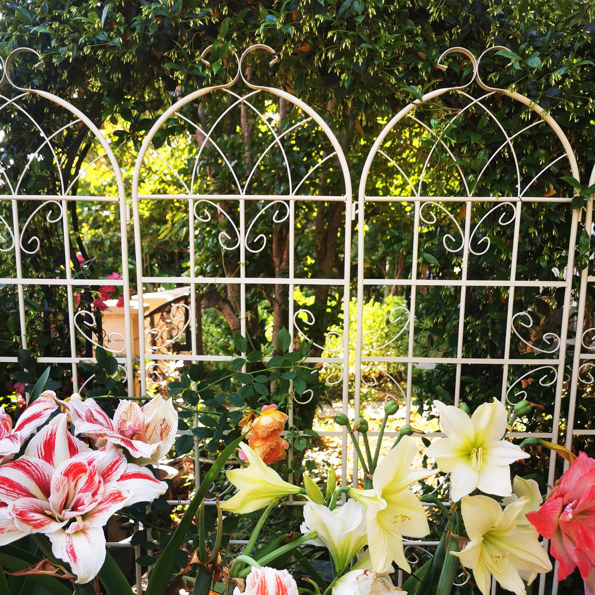 4 Pack Rustproof Garden Climbing Plant Support with Galvanized Round Pipe, Metal Trellis for Outdoor Flowers, 80" L x 87" H, Cream White