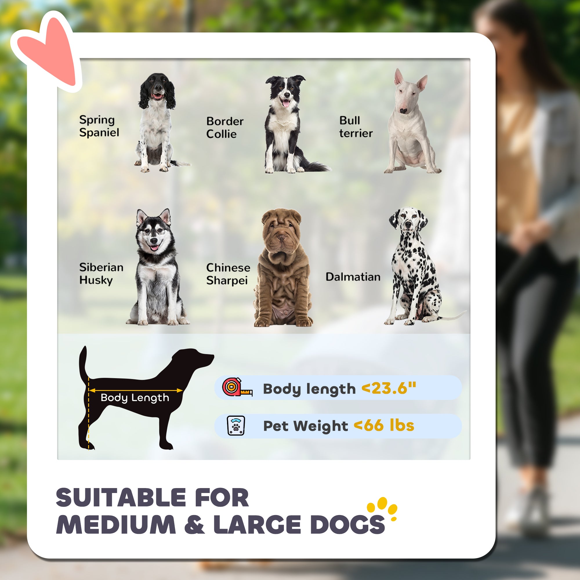 One-Click Foldable Dog Stroller for M, L Dogs, Pet Stroller, Black