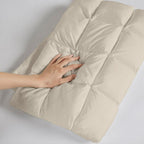 Luxuriously Soft Standard Overfilled Pillow Protector with 100% Polyester Microfiber, Zipper Closure, 3D Puff Stitching, 28" L x 20" W x 0.13" H, Beige