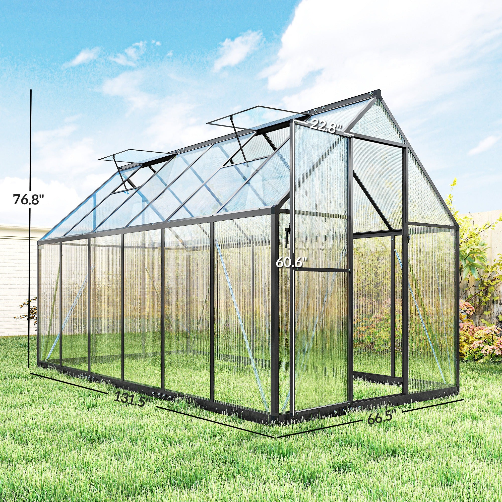 Polycarbonate Greenhouse with Swing Door and Two Adjustable Roof Vents, Aluminum Walk-in Greenhouse, 11x6 ft, Black