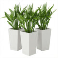 Tall Planters for Outdoor Plants Set of 3, 24 In Taper Planters with Drainage Holes, Rattan Decor Plant Pots, White