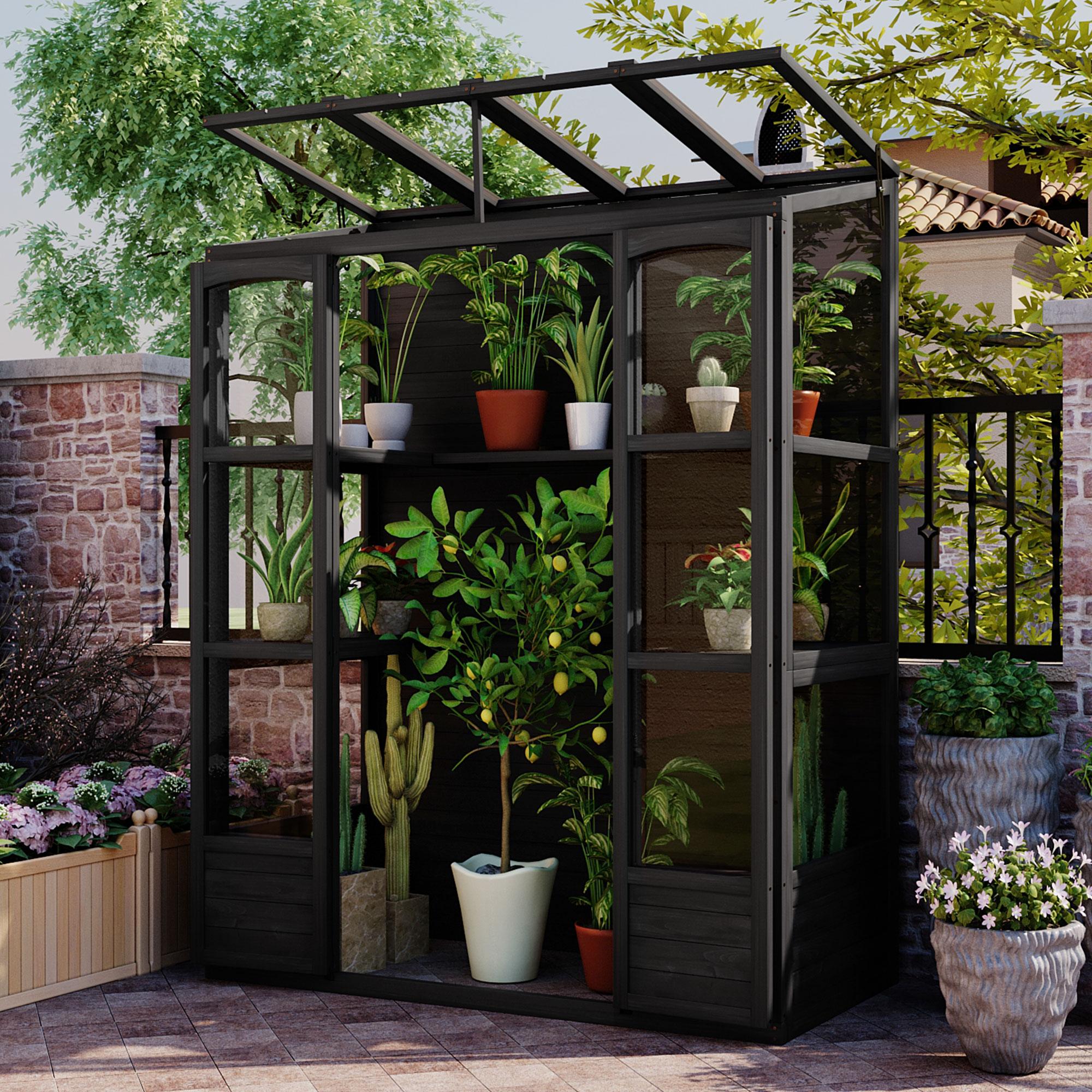 Walk-In Wooden Greenhouse with 2 Folding Shelf & 4 Skylight, Sturdy Fir Wood Cold Frame for Backyard, 58'' L x 29'' W x 78'' H, Black