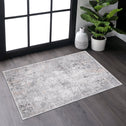 Naar 2x3 Abstract Stain-Resistant Area Rug with Non-Shedding Design, Kid and Pet-Friendly Carpet, 36" L x 24" W x 0.35" H, Gray
