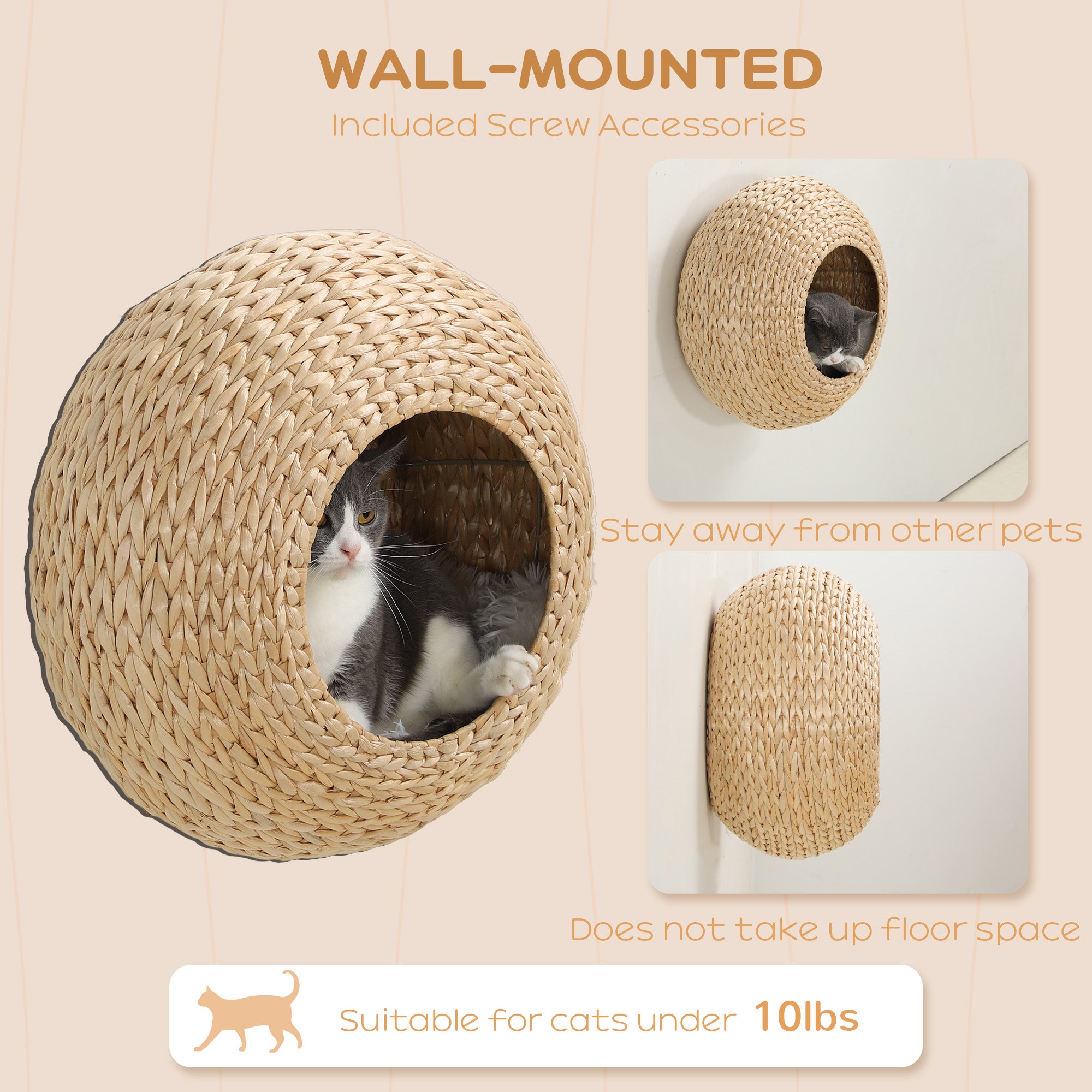 Wall Mounted Cat Condo with Washable Cushion, Natural Wood