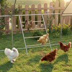 Chicken Roost for Coop, Jungle Gym Roosting Bar, 55" x 33.75"