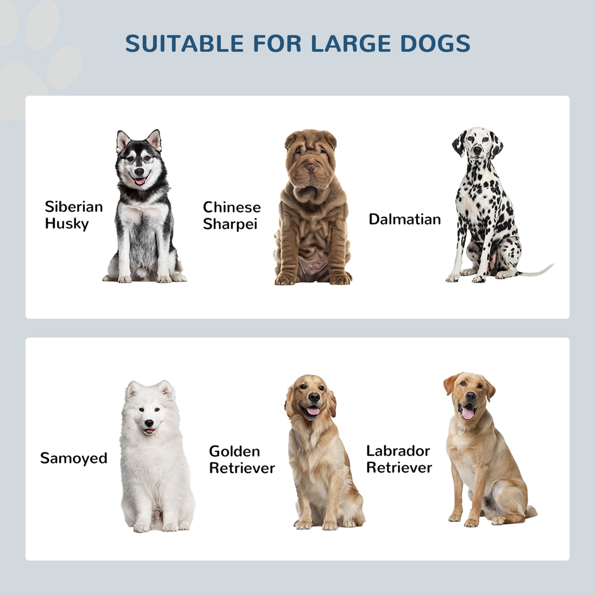 Elevated Dog Bowls with Storage Cabinet Containing Large 44L Capacity, Gray