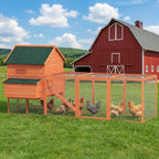137" Wooden Chicken Coop for 4-6 Chickens, Backyard, Orange