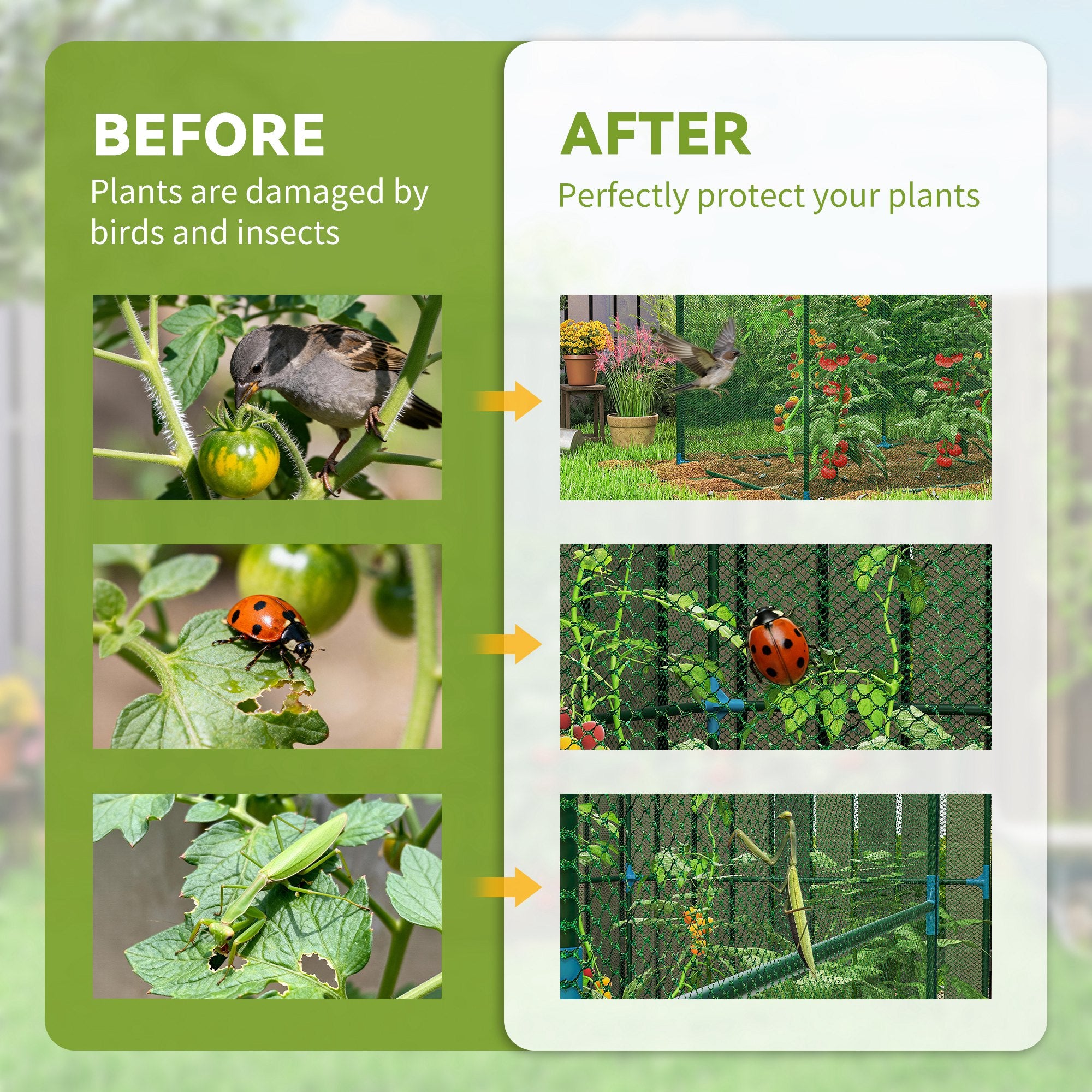 Walk-in Crop Cage, Plant Protectors from Animals with Roll Up Zippered Door, 7.9' x 3.9' x 6.1', Green