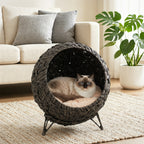 Rattan Cat Bed, Elevated Handwoven Cat Basket Bed with Soft Cushion and Metal Base