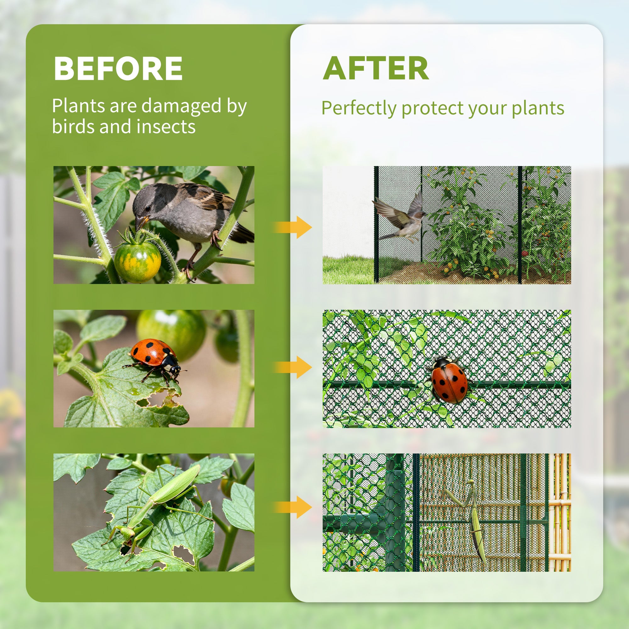 6' x 4' x 6' Crop Cage, Plant Protection Tent with Zippered Doors for Vegetable Garden, Backyard, Green