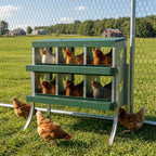 Chicken Nesting Boxes, 6 Compartment Steel Nesting Boxes for Chickens, Wall Mount Egg Laying Boxes with Vented Holes