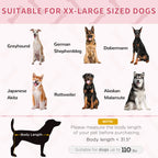 XL Elevated Dog Bed, Outdoor Raised Dog Bed, Portable Pet Cot w/Carry Bag Metal Frame Breathable Mesh Indoor and Outdoor Red
