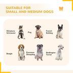 24 Panel Dog Playpen for Small and Medium Dogs with Lockable Door, 15.7' x 15.7' x 2.6'