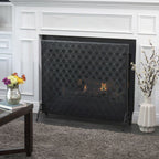 Modern Single Panel Iron Fireplace Screen with Durable Iron Frame, Rustproof Solid Free Standing Fire, 39.5" L x 11.25" W x 35" H, Black