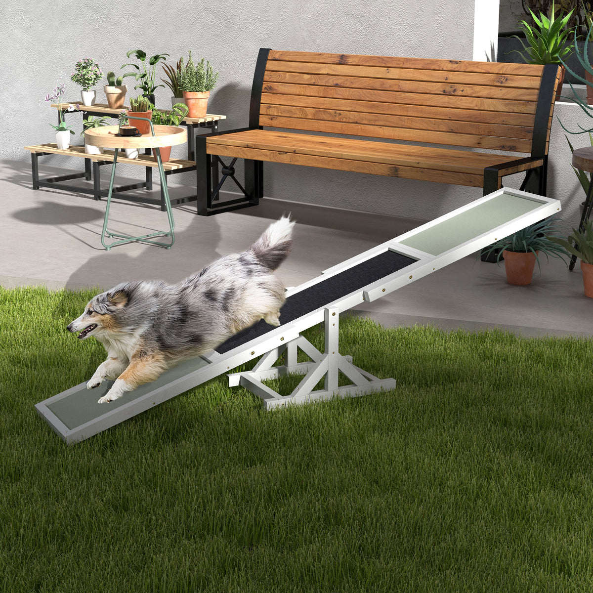 Wooden Dog Agility Seesaw for Training and Exercise, White