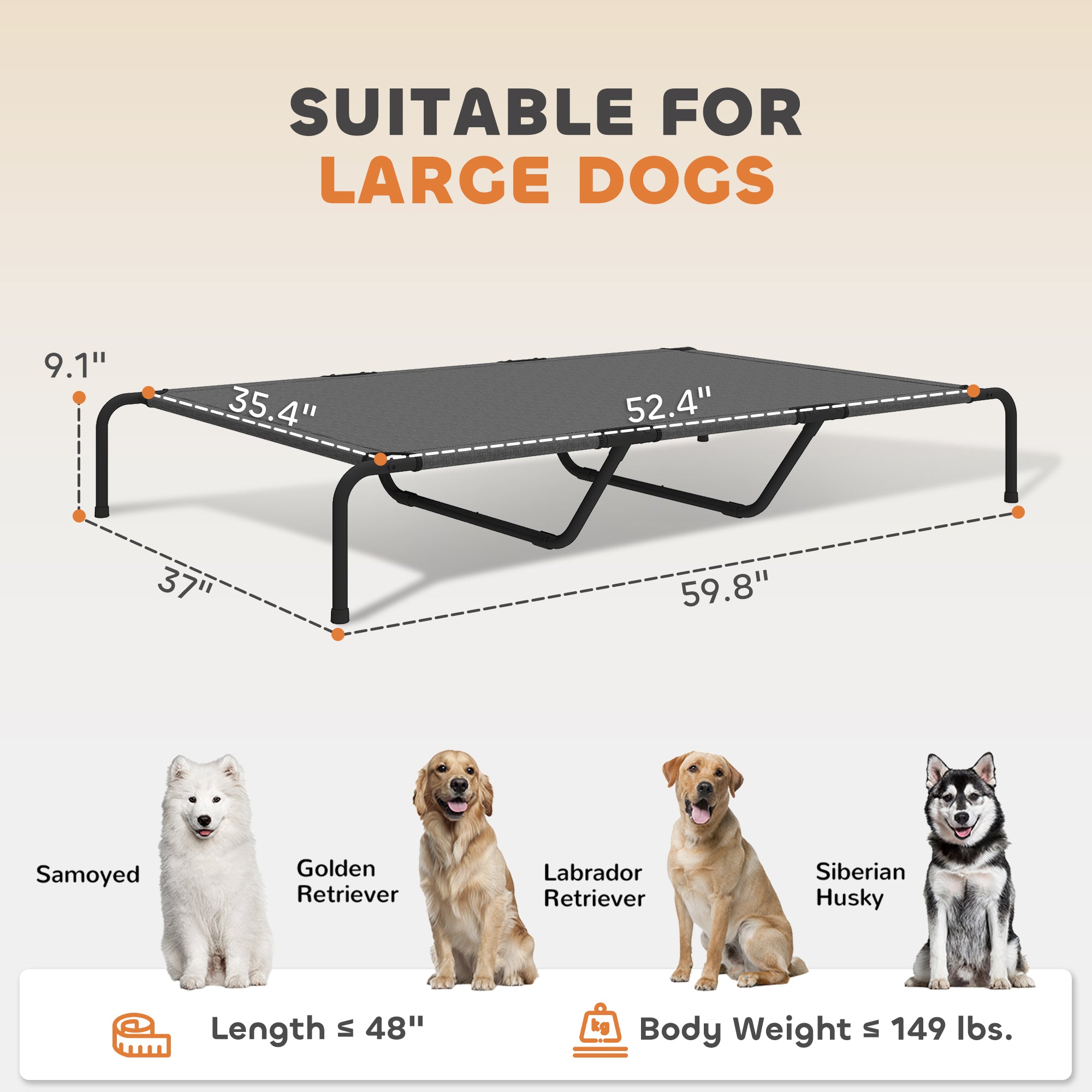 Elevated Dog Bed for Large Breeds Gray 60"L
