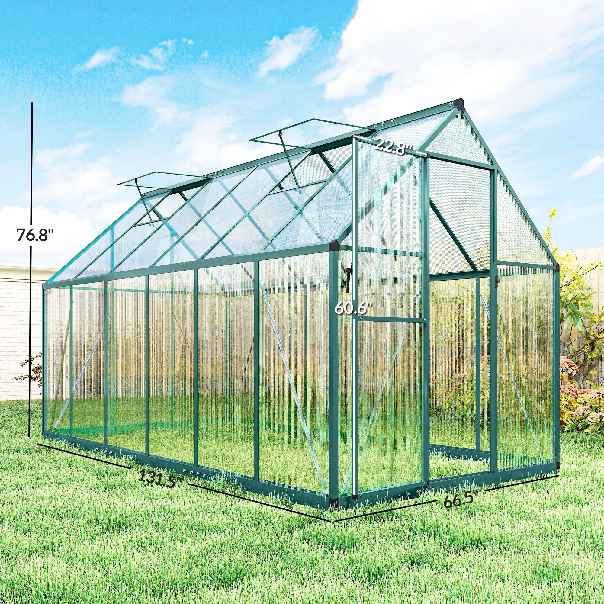 Polycarbonate Greenhouse with Swing Door and Two Adjustable Roof Vents, Aluminum Walk-in Greenhouse, 11x6 ft, Dark Green
