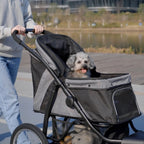 3 Wheels Pet Stroller for Small Dogs and Medium Dogs with Adjustable Canopy, Safety Tether, Storage Basket, Gray