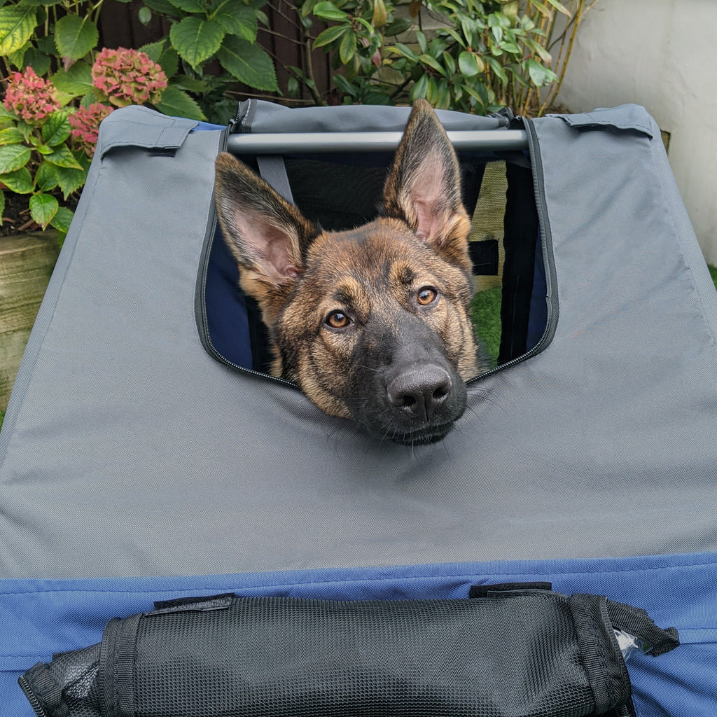 Bike Trailer Cargo Cart for Dogs and Pets with 3 Entrances Large Wheels for Off-Road & Mesh Screen, Blue/Gray