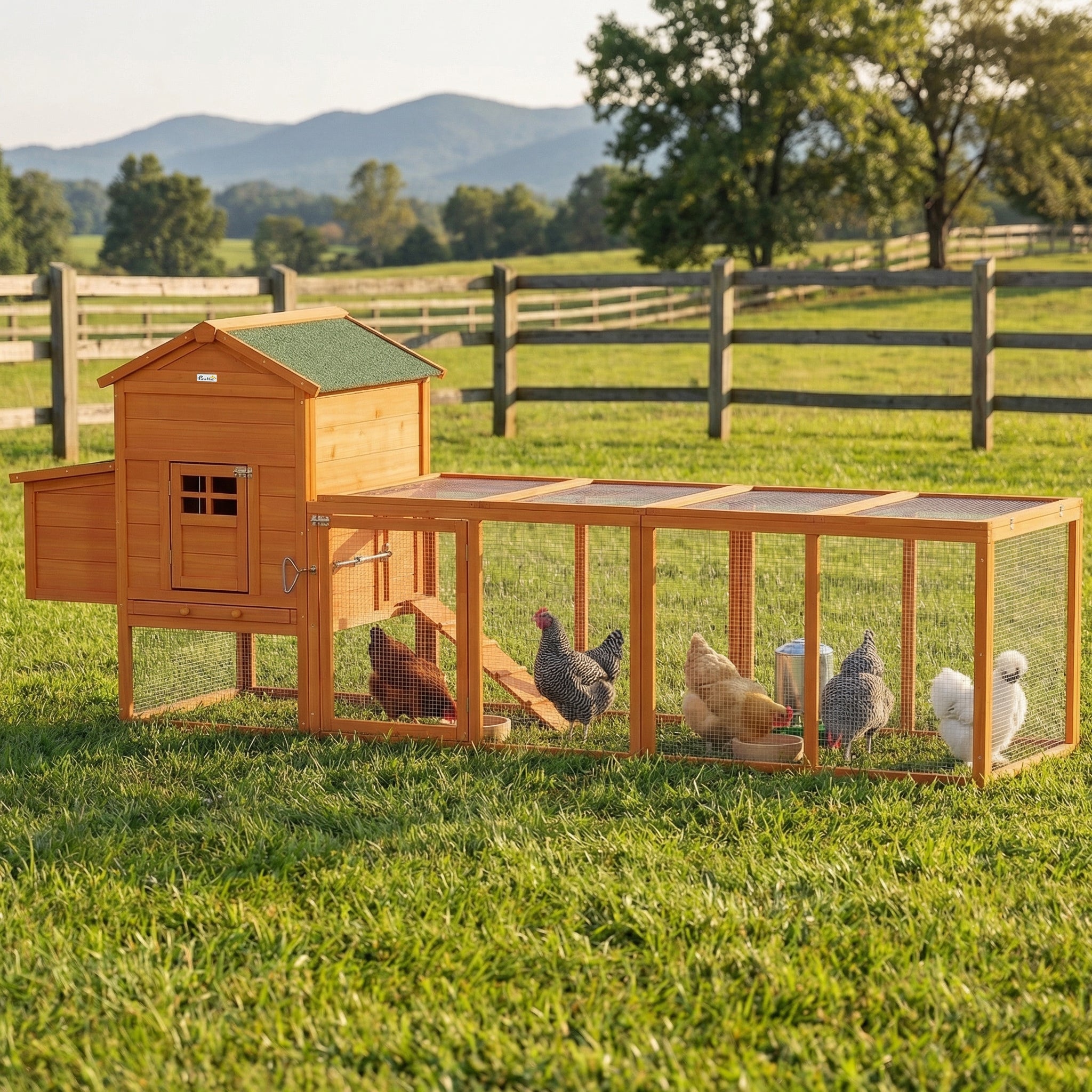 Extra Large Run Included Chicken Coop with Removable Tray Orange