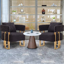 2-Set Living Room Teddy Fleece Upholstered Side Chair with Gold Metal Legs, Modern Decorative Chair, 26" L x 24.5" W x 27" H, Black+Gold