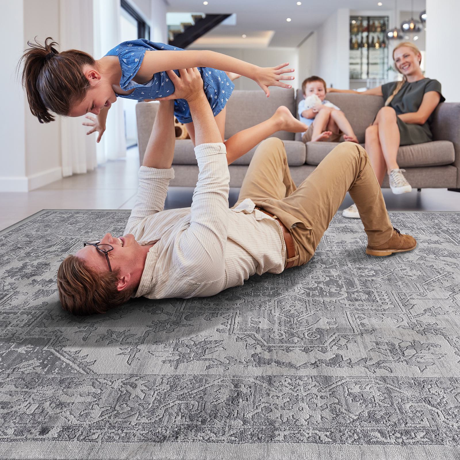 Naar 2x3 Stain-Resistant Area Rug with Non-Shedding Design and Cotton Backing, Kid and Pet-Friendly Carpet, 36" L x 24" W x 0.35" H, Silver