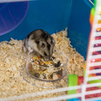 23" 5-Tier Hamster Cage with Wheel and Water Bottle, Blue