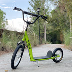 Youth Scooter Kick Scooter for Kids 5+ with Adjustable Handlebar 16" Front and 12" Rear Dual Brakes Inflatable Wheels, Green